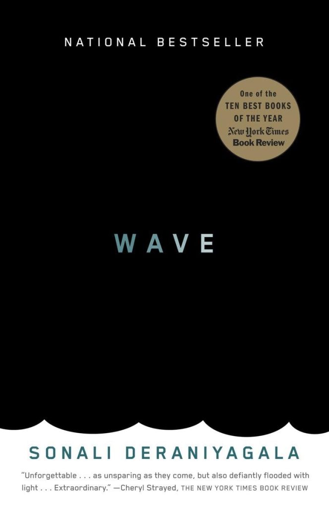 Wave: A Memoir of Life After the Tsunami Wave